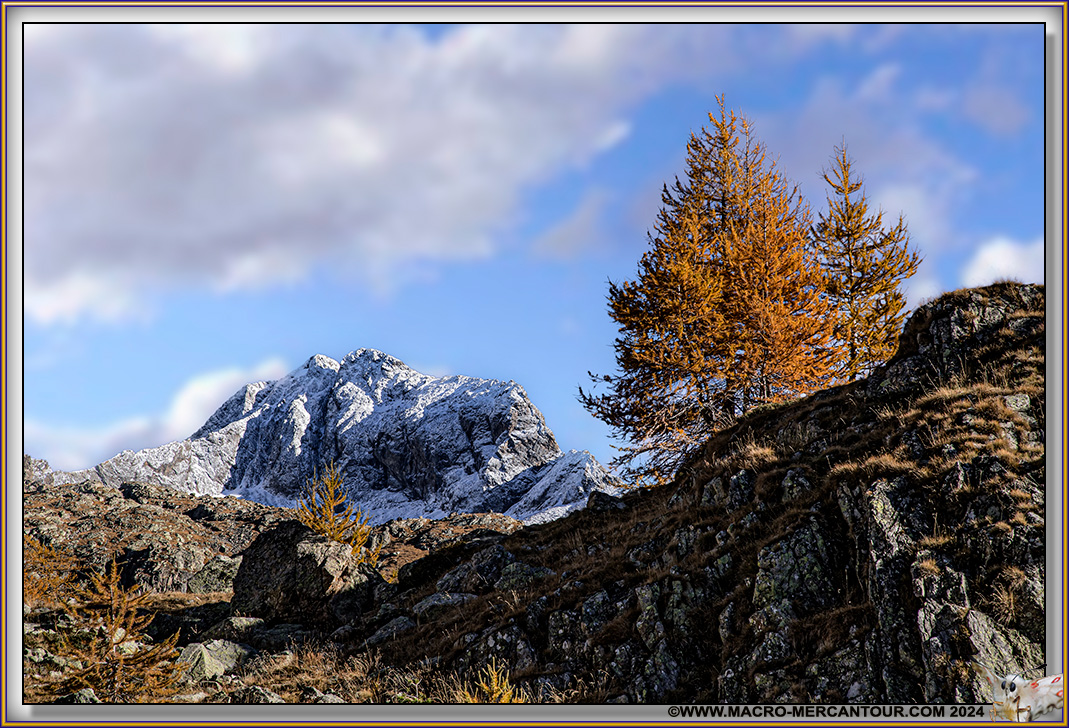 Le Gélas (3143m)